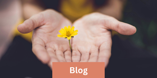 Blog